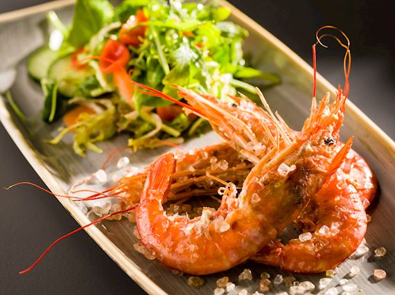 sheSZGSIrf-262555-Taste It - Italian Main Dish-Low.jpg